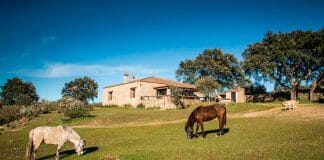casas rurales con caballos