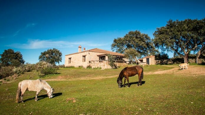 casas rurales con caballos