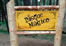 bosque mágico