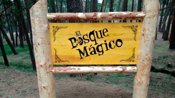 bosque mágico