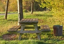 sitios para hacer picnic