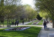 parques y zonas verdes de Madrid