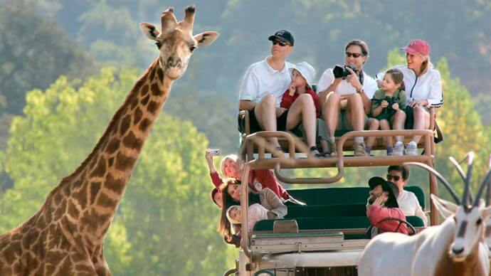 viaje safari a Kenia