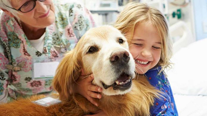 niños hospitalizados mascotas