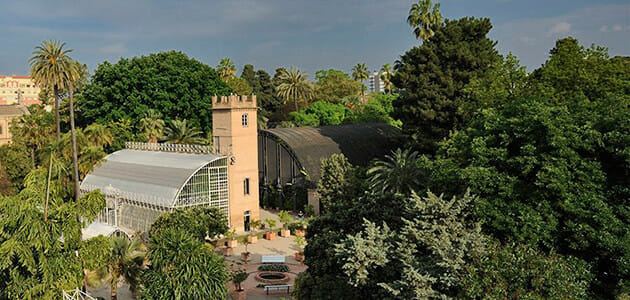 Jardín Botánico de la Universidad de Valencia