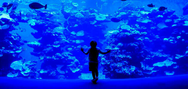 Palma Aquarium vacaciones con niños