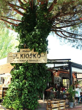 Kiosko Parque Fuente de la Salud