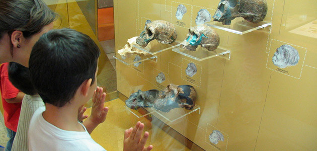 visitas guiadas museo prehistoria valencia